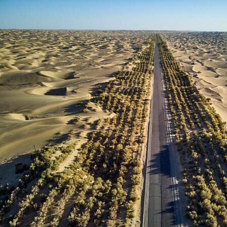 El Cinturón Verde del Desierto de Taklamakan: Más que un Proyecto Ambiental